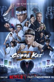 Cobra Kai | Temporada 6, 5,4,3,2,1