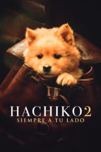 Hachiko 2: Siempre a tu Lado